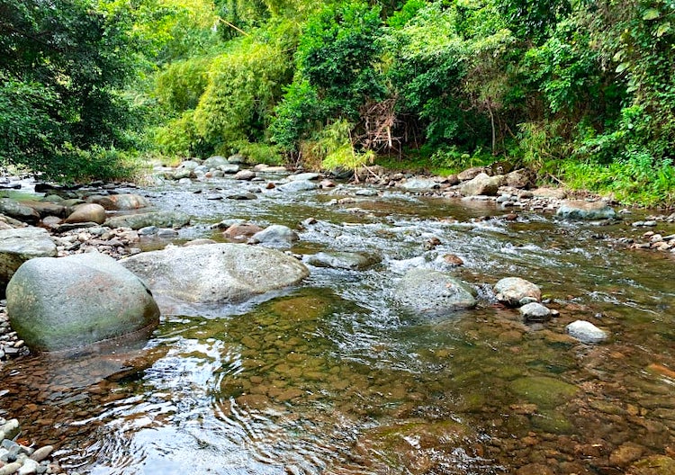 Foto: Discover Puerto Rico
