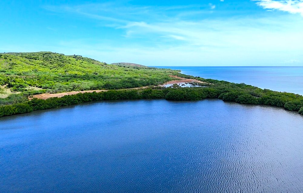 A las vistas públicas que efectuará OGPe en Cabo Rojo acudirá medio centenar de científicos ambientales, economistas, arqueólogos, planificadores urbanos, abogados y pescadores, anticipó Beatriz Llenín Figueroa, portavoz de la coalición de organizaciones Defiende a Cabo Rojo. (Foto: Raul Omar Ortiz / archivo)