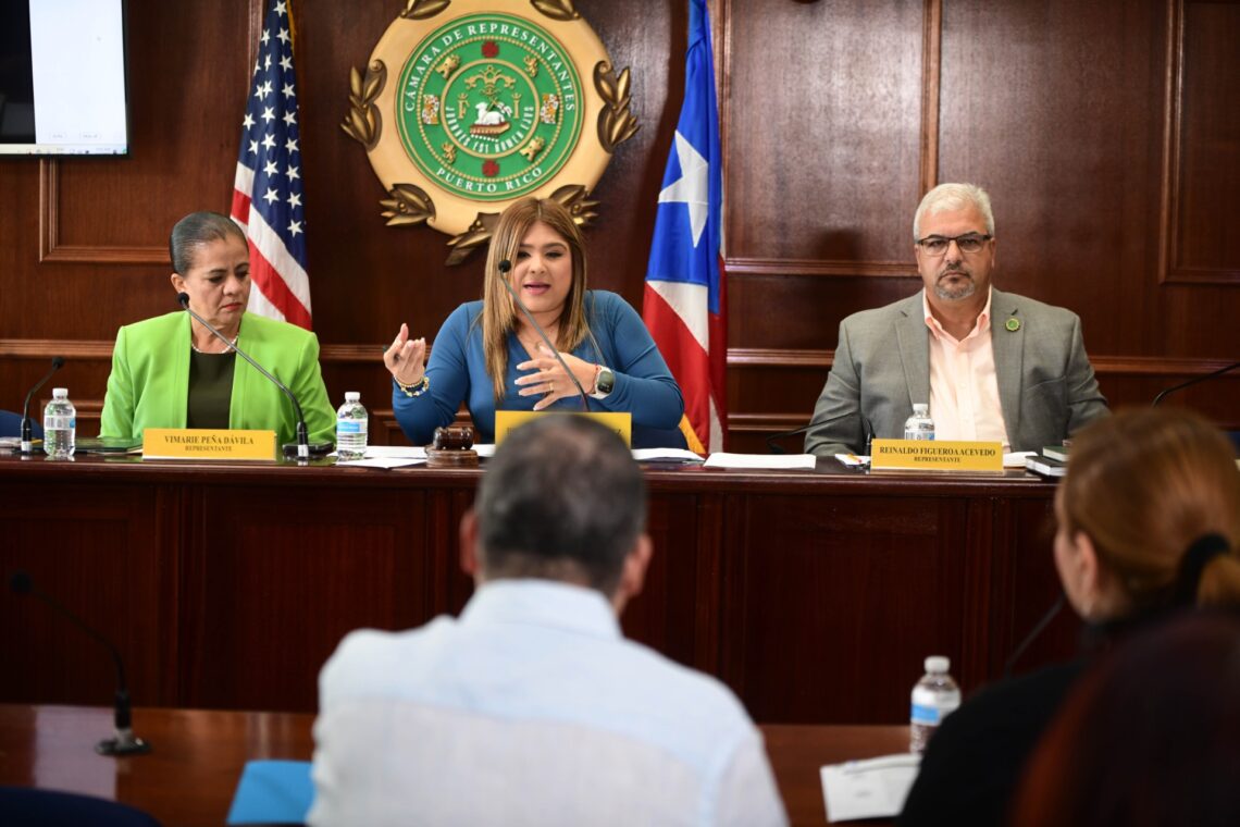 Comisión de Educación, presidida por la representante Tatiana Pérez Ramírez. (Foto suministrada)