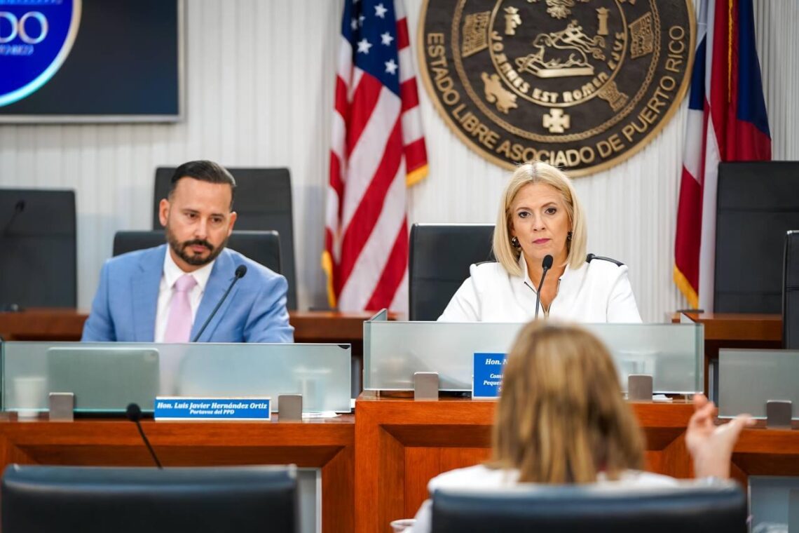 Senadora Nitza Moran Trinidad. (Foto suministrada)