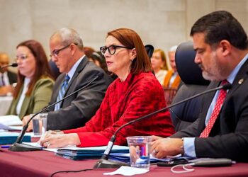 Verónica Ferraiuoli Hornedo (Foto: Senado de Puerto Rico)