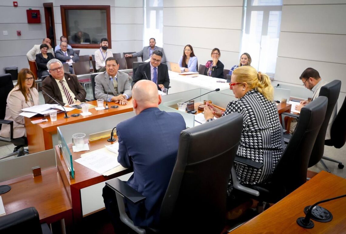 Comisión de lo Jurídico del Senado. (Foto suministrada)