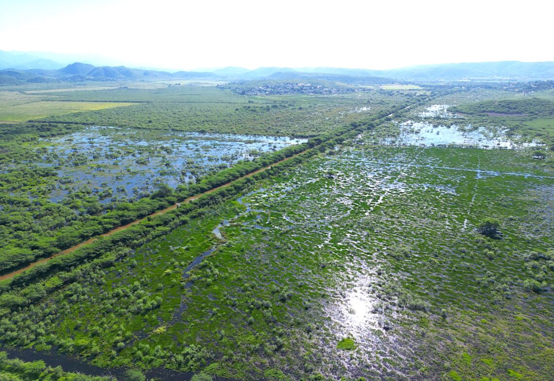 La ventana de oportunidad para que la NOAA libere el millonario presupuesto se está cerrando y para evitarlo solo resta un trámite inconcluso: la firma de un acuerdo de comanejo con el Gobierno de Puerto Rico. (Foto suministrada)