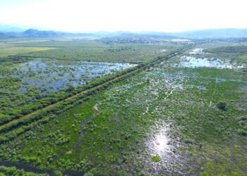La ventana de oportunidad para que la NOAA libere el millonario presupuesto se está cerrando y para evitarlo solo resta un trámite inconcluso: la firma de un acuerdo de comanejo con el Gobierno de Puerto Rico. (Foto suministrada)