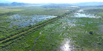 La ventana de oportunidad para que la NOAA libere el millonario presupuesto se está cerrando y para evitarlo solo resta un trámite inconcluso: la firma de un acuerdo de comanejo con el Gobierno de Puerto Rico. (Foto suministrada)