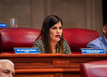 Foto: Marially González Senadora Distrito de Ponce/Facebook