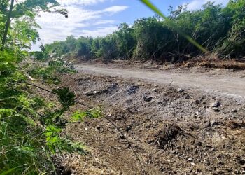 Otra monumental sobrecarga de cenizas de al menos tres pies de altura y cientos de pies de extensión quedó al descubierto cuando equipo pesado removió vegetación y corteza terrestre al costado sur del CDT de Salinas. (Foto: Omar Alfonso)