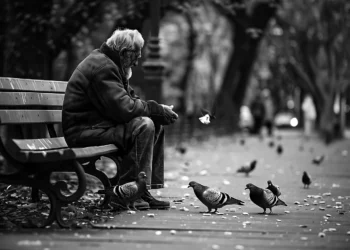 Coordinadora Moriviví surgió tras el huracán María, el consiguiente colapso institucional y la urgencia de mantener fondos para atender a personas sin hogar.