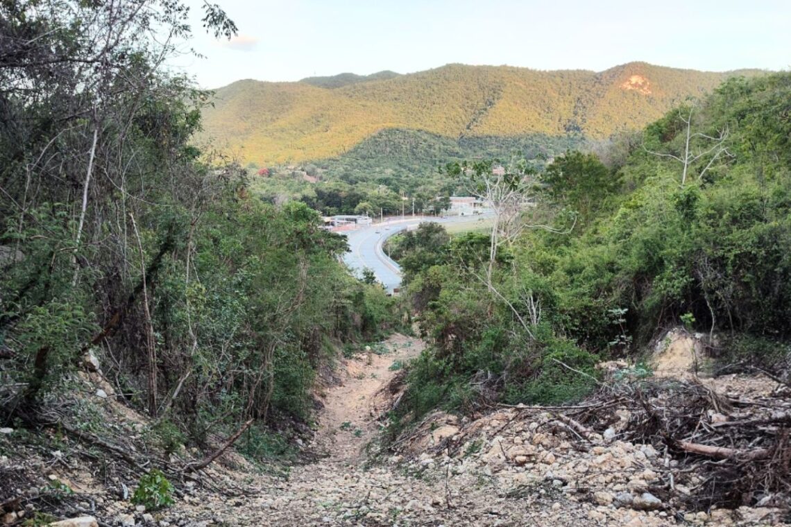 Foto suministrada