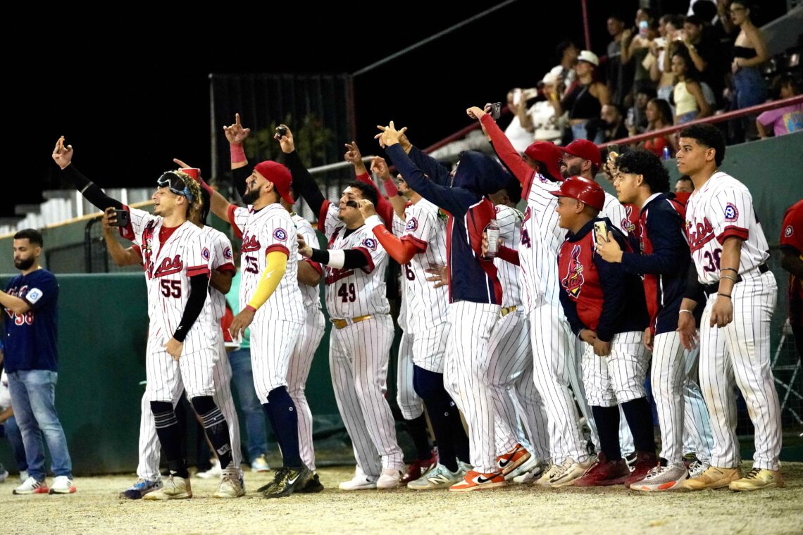 Mulos de Juncos. (Foto: Robert Washao Acosta)