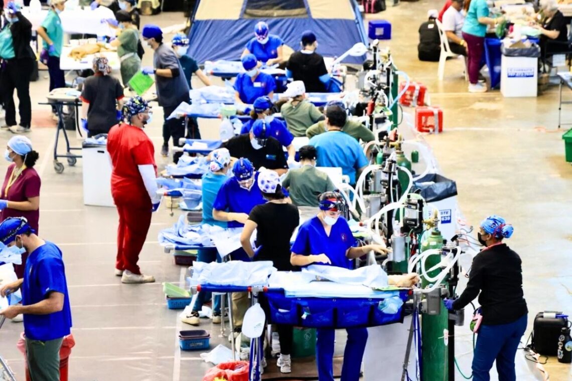 Feria de Esterilización en el Auditorio Juan “Pachín” Vicéns. (Foto suministrada)