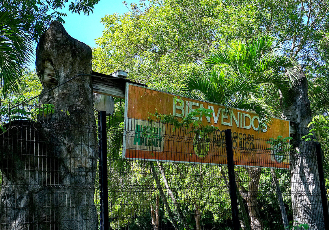 Foto: Coraly Cruz Mejías / GPJ Puerto Rico (archivo)