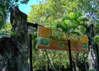 Foto: Coraly Cruz Mejías / GPJ Puerto Rico (archivo)