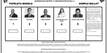Papeleta de elección especial del Distrito 31. (Imagen suministrada)