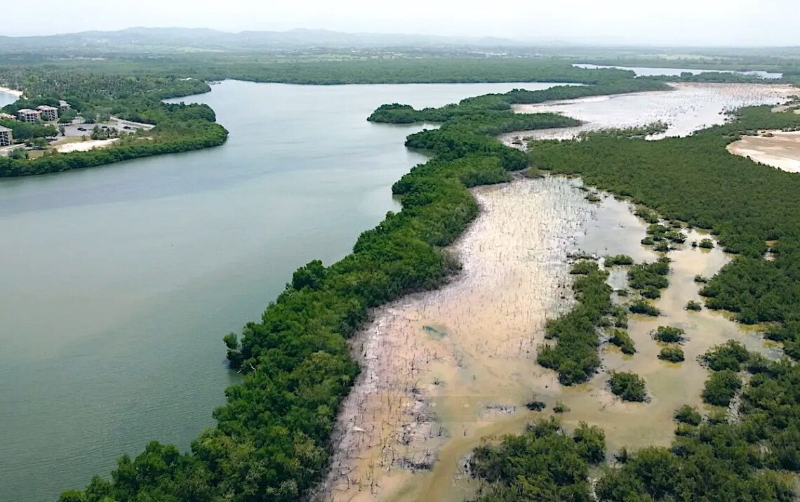 Aun con los cambios propuestos, el  proponente reconoció que 1,060 de las 1,373 cuerdas sujetas a desarrollo (77 por ciento), serían impactadas de alguna forma por la construcción, incluyendo 286 cuerdas impermeabilizadas por edificaciones. (Foto archivo)
