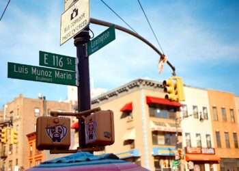 El legado de la cultura y la historia puertorriqueña también se ve en los nombres de las calles de Nueva York. El nombre del exgobernador de Puerto Rico Luis Muñoz Marín está asignado a un bulevar. (Foto: Joel Cintrón Arbasetti / CPI)