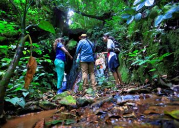 Explorando en Junte Científico. (Foto suministrada)