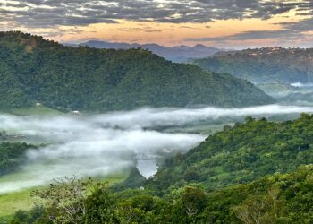 Factores como la brisa y la humedad pudieron provocar que residentes en estas localidad experimentaran, incluso, una sensación térmica por debajo de los 50 grados. En la foto, el barrio San Lorenzo de Morovis. (Archivo)