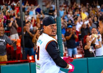 Edwin Díaz, de los Leones de Ponce. (Foto suministrada)