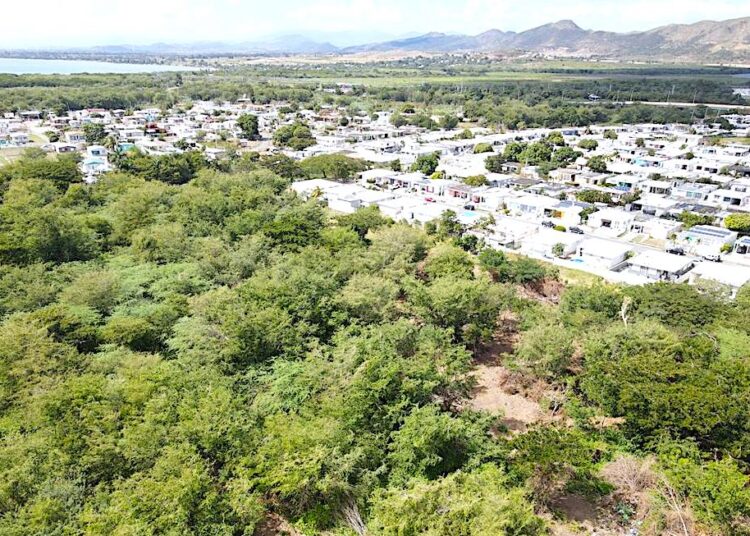 El predio en riesgo colinda con las comunidades Villa Cofresí, Villa Esperanza y La Margarita, y cumple funciones clave en el manejo de agua del río Nigua. (Foto suministrada)