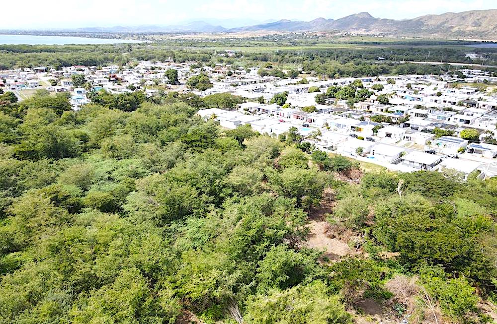 El predio en riesgo colinda con las comunidades Villa Cofresí, Villa Esperanza y La Margarita, y cumple funciones clave en el manejo de agua del río Nigua. (Foto suministrada)