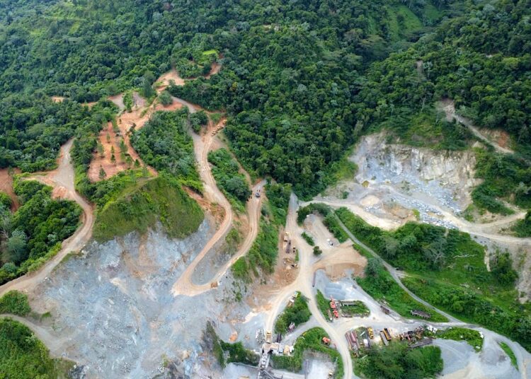 La resolución también establece que los terrenos impactados por la expansión -alrededor de 18 cuerdas- deben ser protegidos para salvaguardar la integridad de la flora, la fauna y las aguas. (Foto suministrada