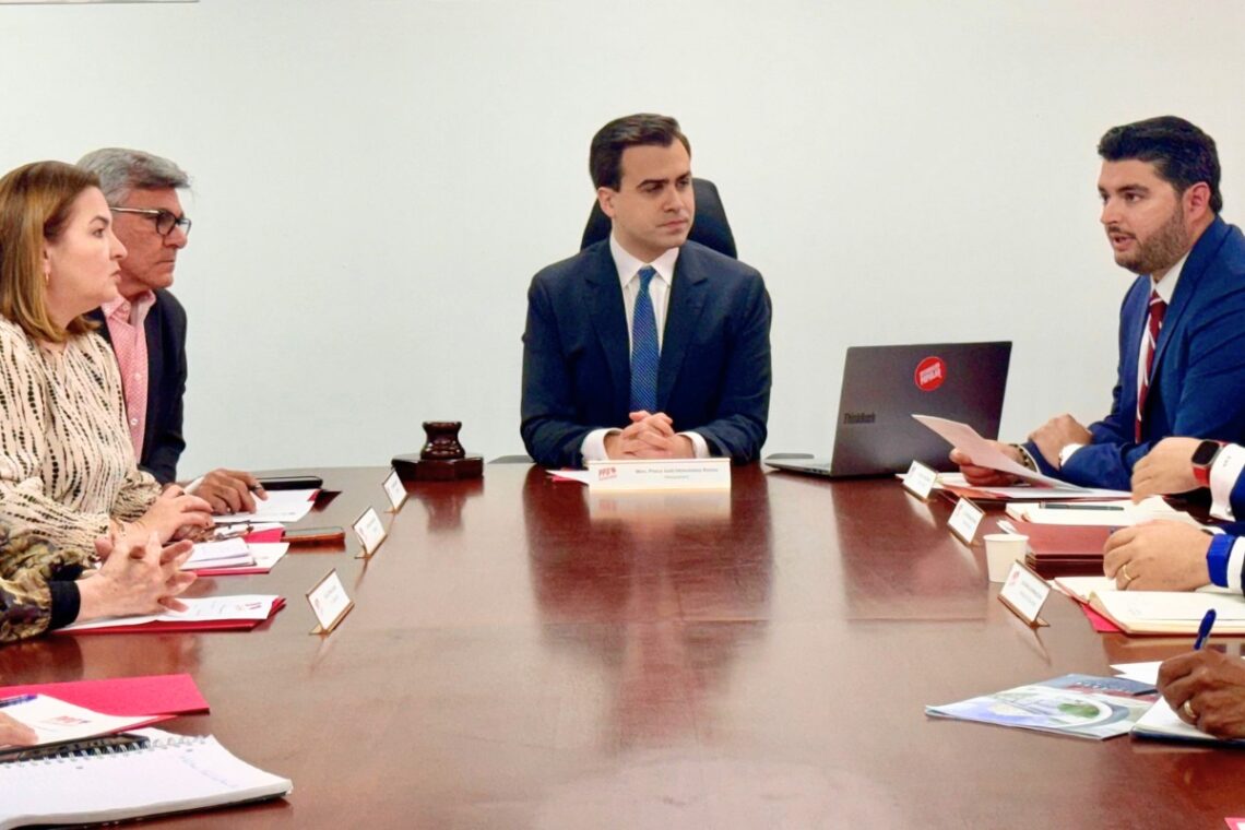 Junta de Gobierno del PPD. (Foto suministrada)
