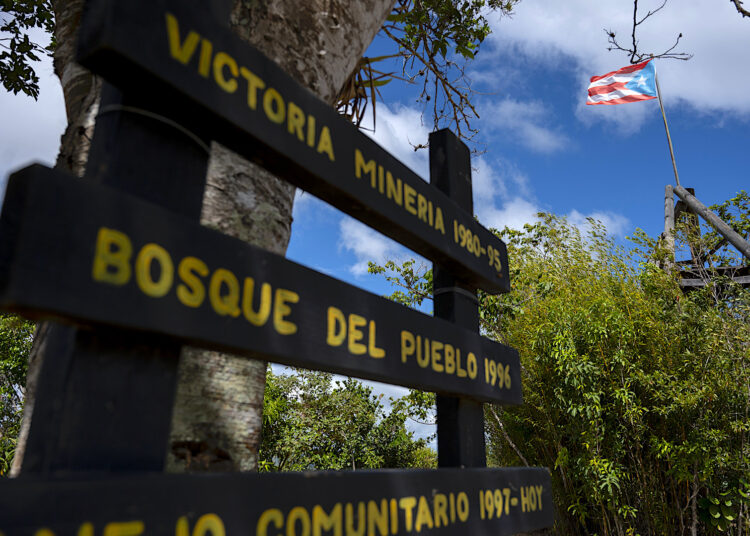 “Este es el primer bosque que se designa y que es manejado por petición de una organización comunitaria”, dijo el cofundador de Casa Pueblo, Alexis Massol González. (Foto: Tony Zayas)
