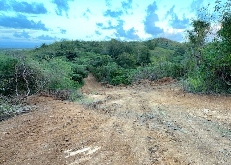 Las cicatrices en solares adquiridos por Cabo Rojo Land Acquisition alcanzan los 500 pies de largo y hasta 60 pies de ancho. (Foto suministrada)