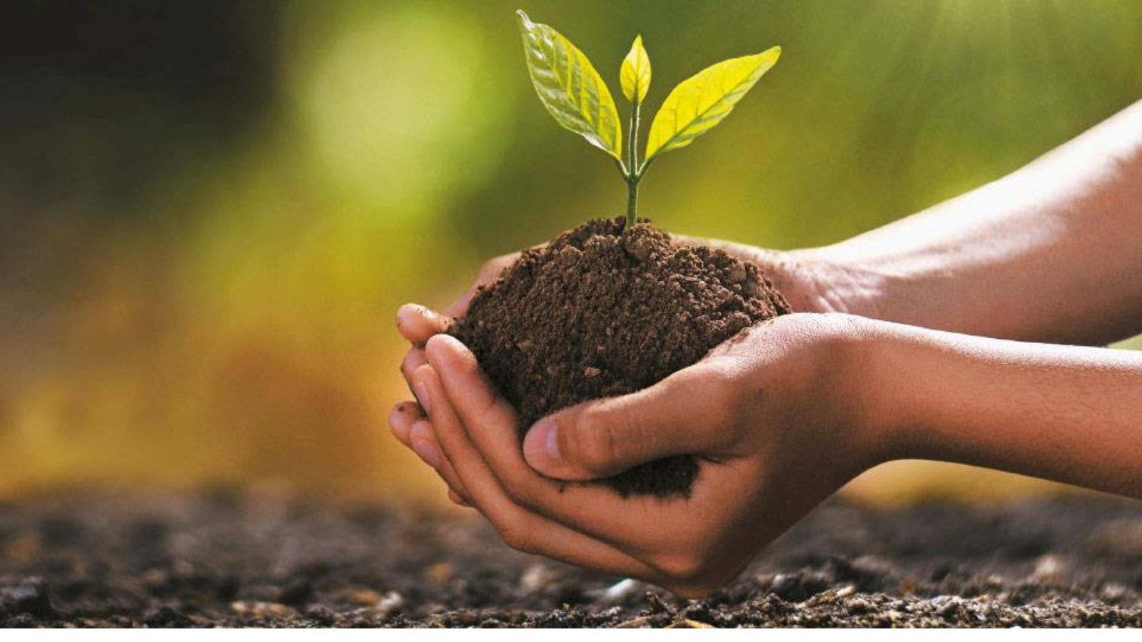 Quebradillas continúa talleres de agricultura y preparación para huracanes