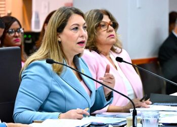 Suzanne Roig Fuertes. (Foto: Departamento de la Familia, archovo)