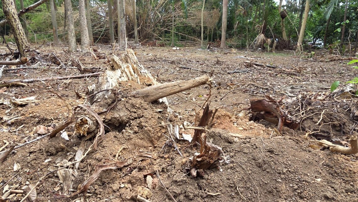 Informes del Cuerpo de Vigilantes confirman el uso de maquinaria pesada y la tala de decenas de árboles, mientras la comunidad exige la restauración del área impactada. (Foto suministrada)
