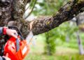 Foto: iStock (archivo)